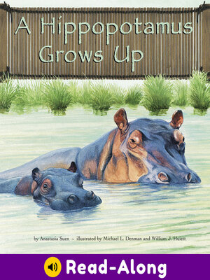 cover image of A Hippopotamus Grows Up